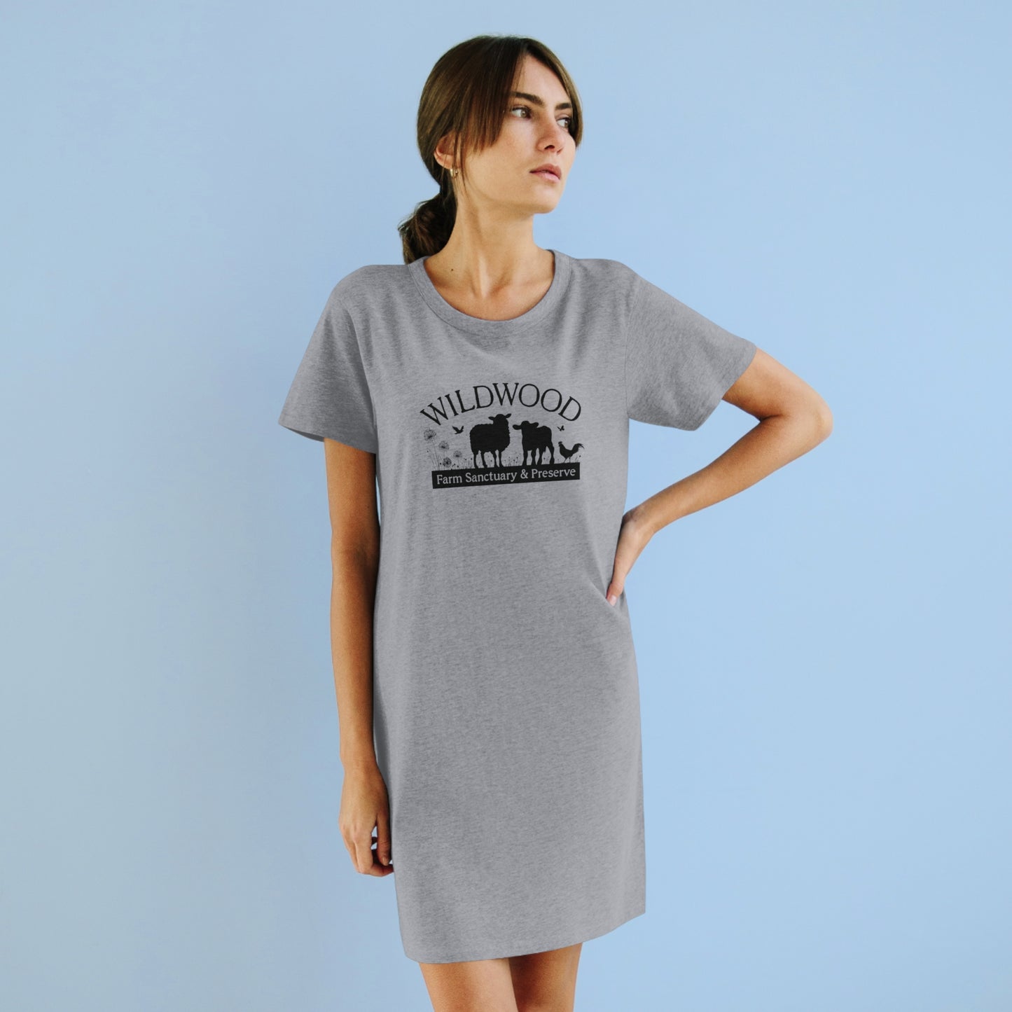 Organic T-Shirt Dress