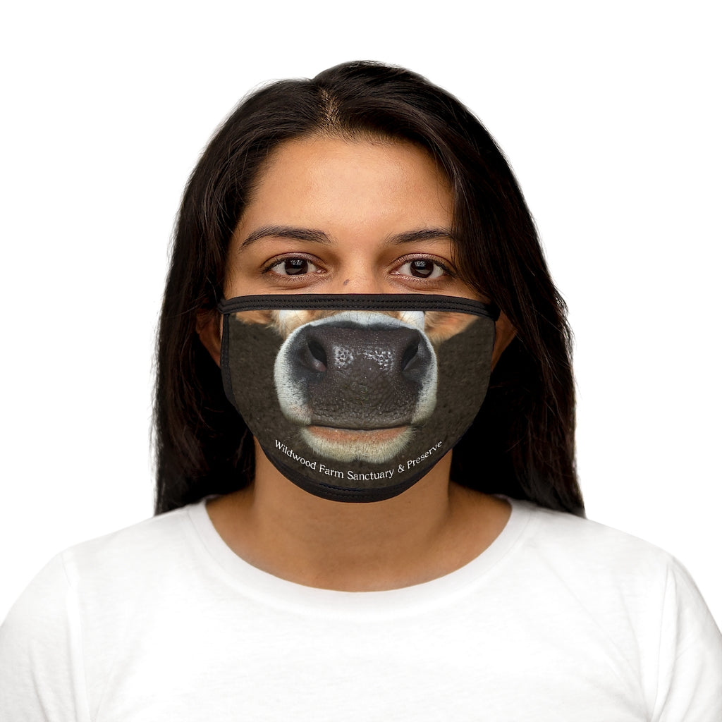 Mixed-Fabric Face Mask