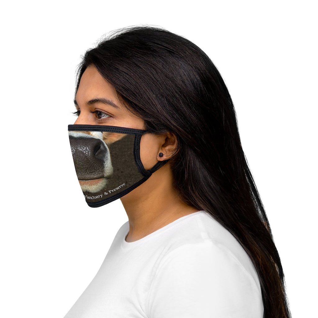 Mixed-Fabric Face Mask