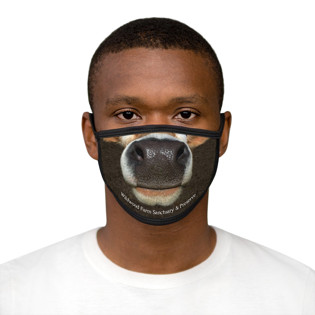 Mixed-Fabric Face Mask